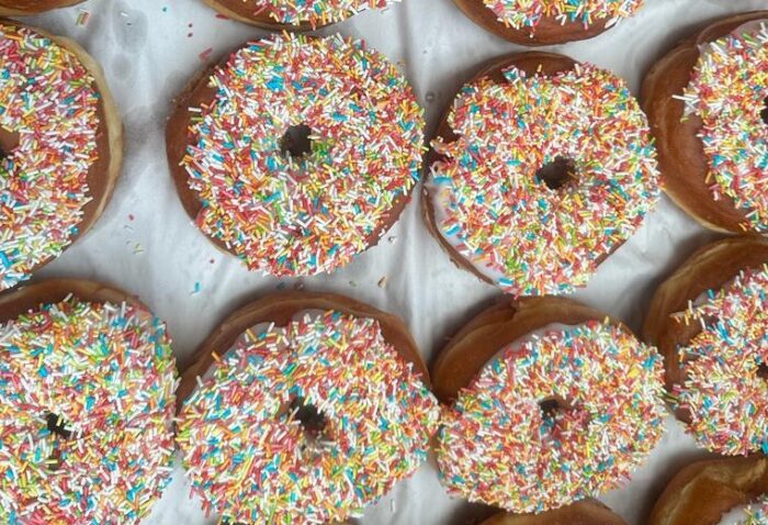 Ginat Sprinkle Donut